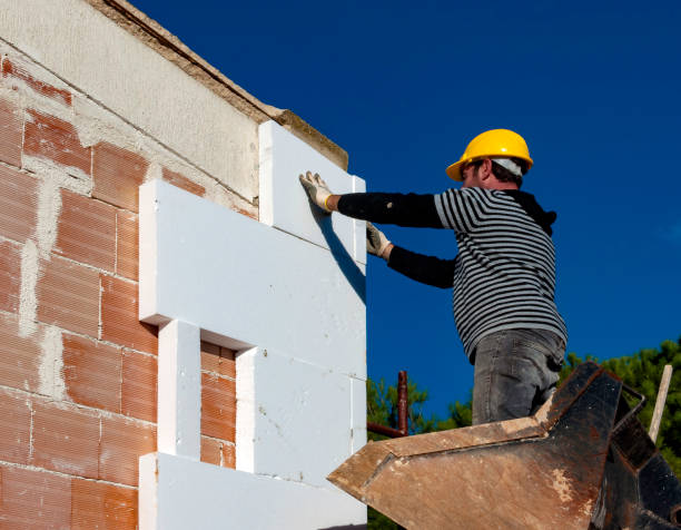 Best Insulation Maintenance and Repair in Higginsville, MO